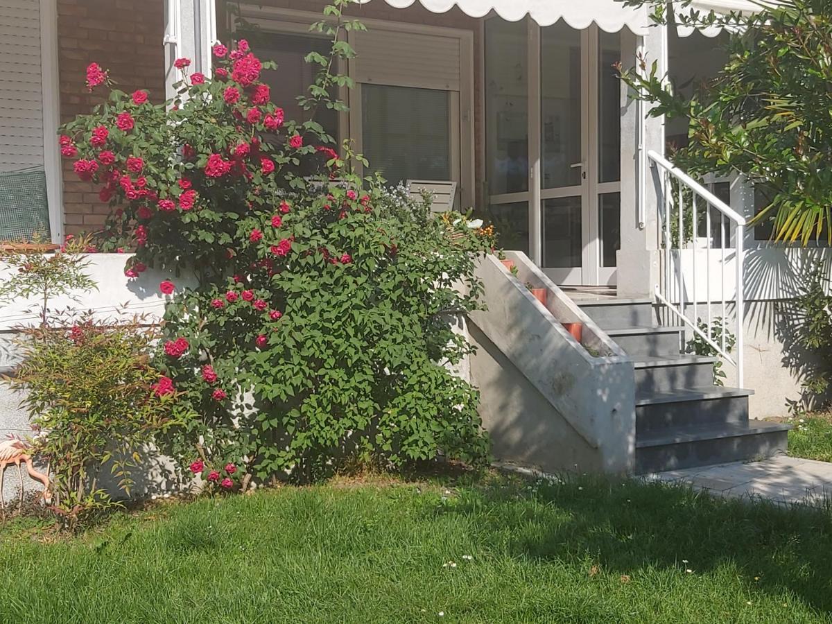 Villa Silvia Olivetti Banchette D'Ivrea Kültér fotó